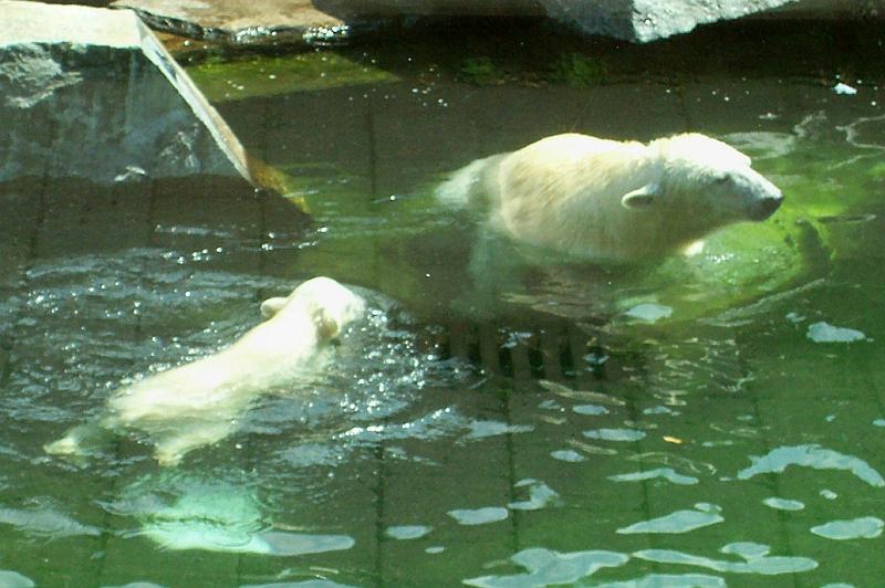 100_2336.JPG