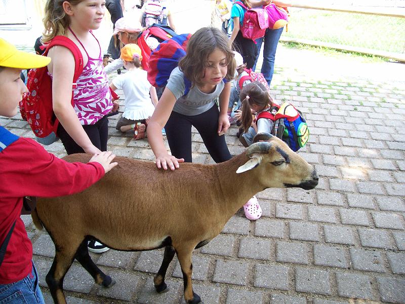 100_2354.JPG