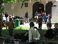 IMG_6944