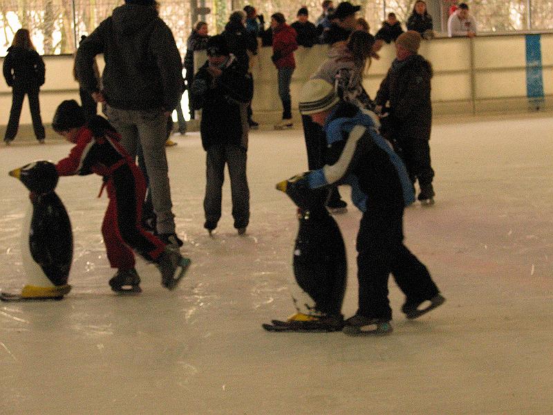 IMG_9311.JPG