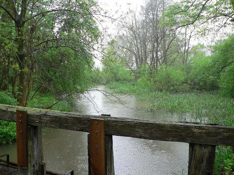 P1170264.JPG
