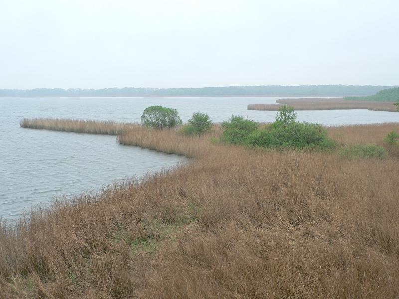 P1170275.JPG