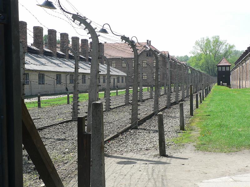 P1170585.JPG