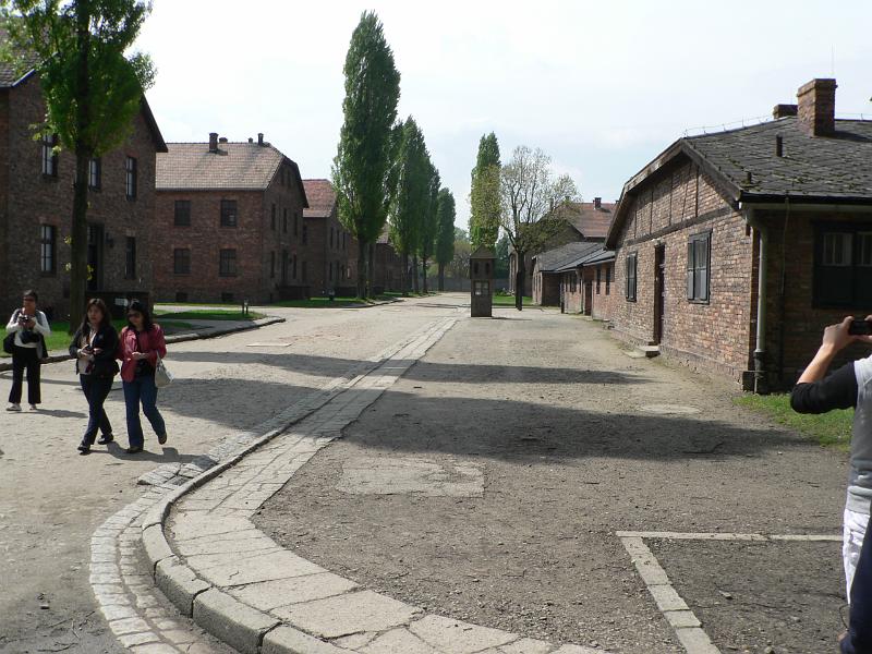 P1170589.JPG