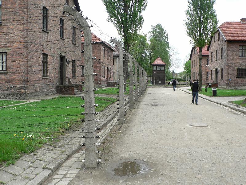 P1170624.JPG