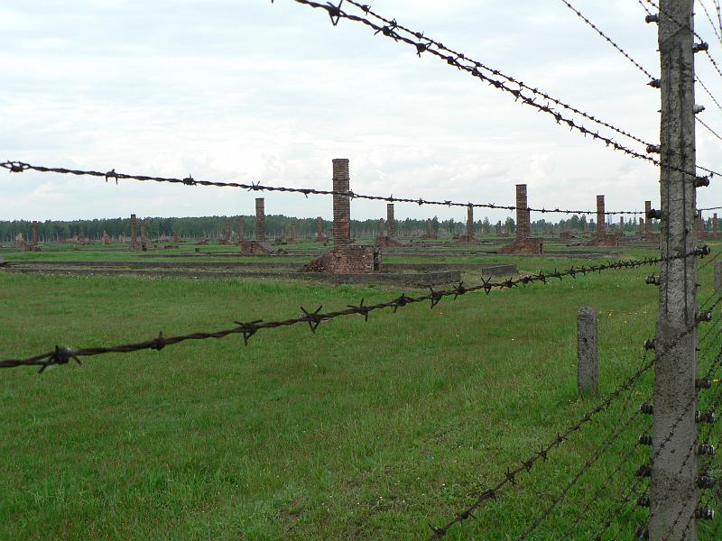 P1170656.JPG
