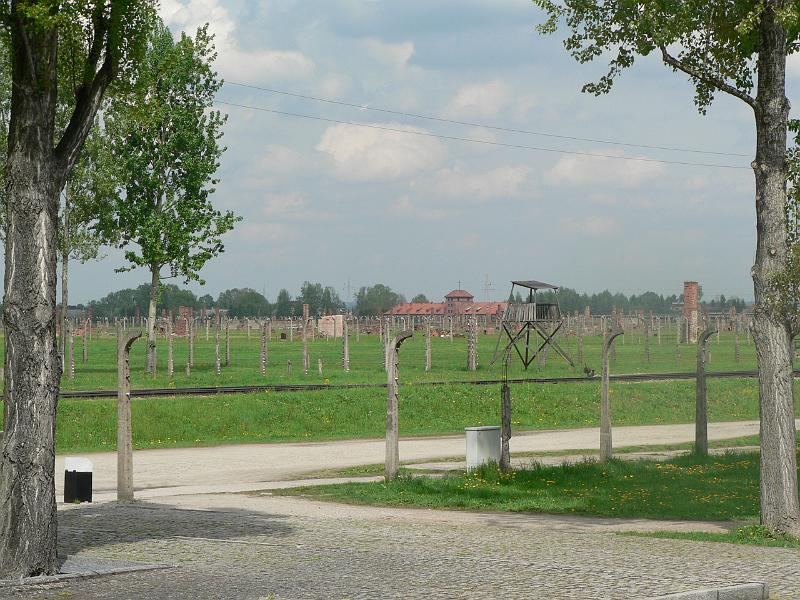 P1170694.JPG