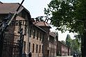 IMG_1215