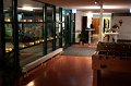 IMG_7463
