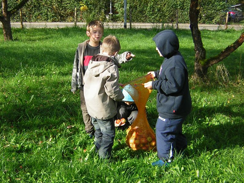 DSCN9601.JPG