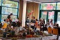 IMG_7287