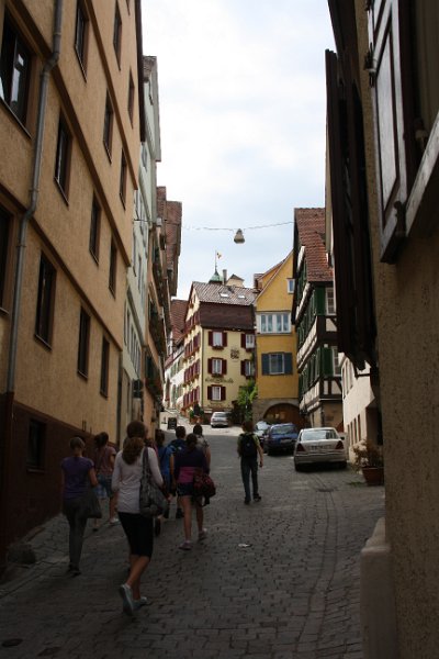 IMG_9549.JPG