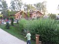 IMG_4251