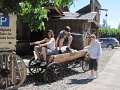 IMG_4309