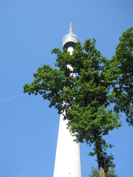 IMG_4359.JPG