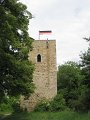 IMG_4436
