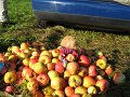 IMG_3285