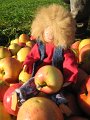 IMG_3287