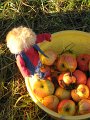 IMG_3293