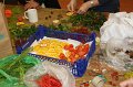 IMG_1892