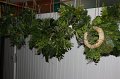 IMG_1898