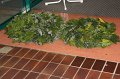 IMG_1957