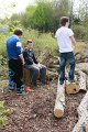 IMG_2916