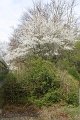 IMG_2919
