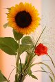 IMG_5163