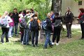 IMG_4446