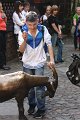 IMG_3679
