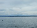 DSCF8624