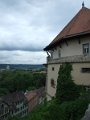 DSCF8742
