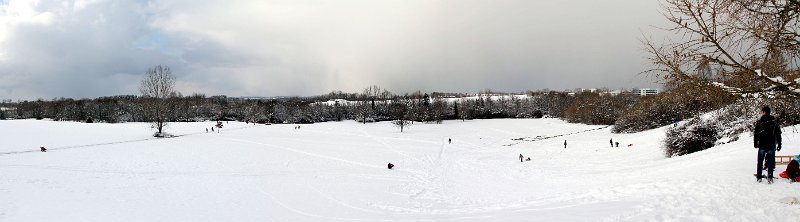 IMG_0512_stitch.jpg