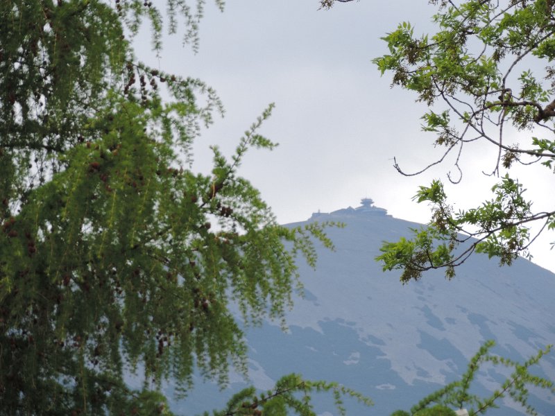 DSCN1248.JPG