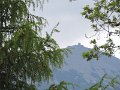 DSCN1248