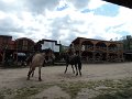 DSCN1256