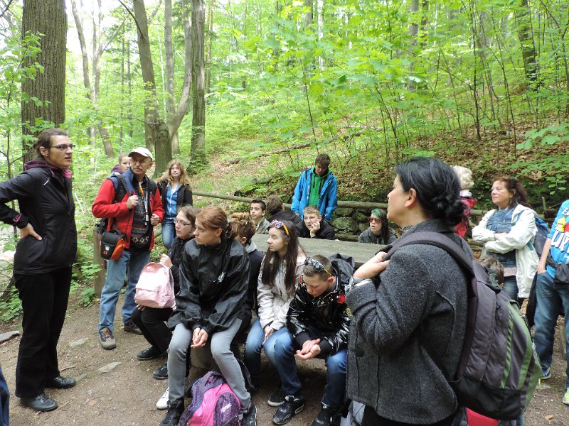 DSCN1373.JPG