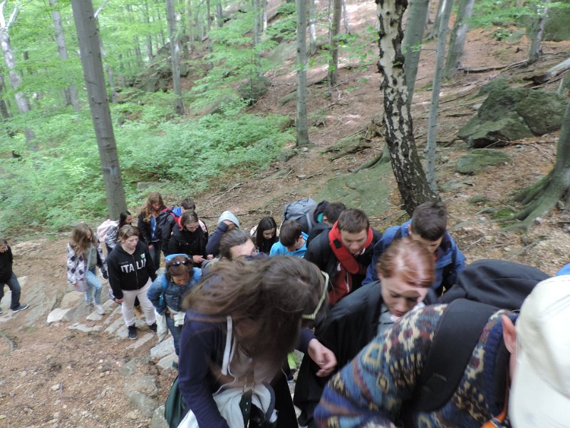 DSCN1384.JPG