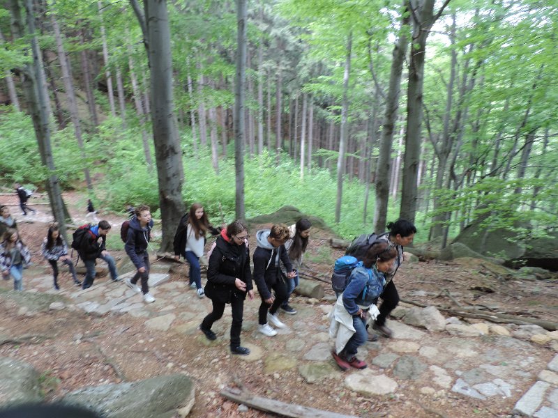 DSCN1388.JPG