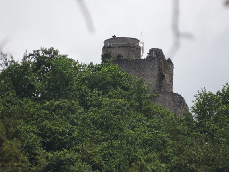 DSCN1436.JPG