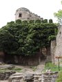 DSCN1403