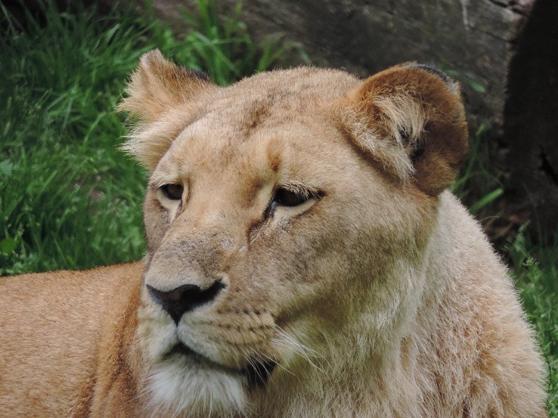 DSCN1539.JPG