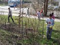 DSCN5433