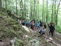 DSCN5424