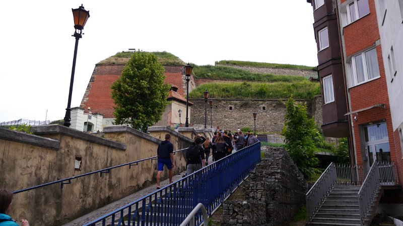 P1020037.JPG