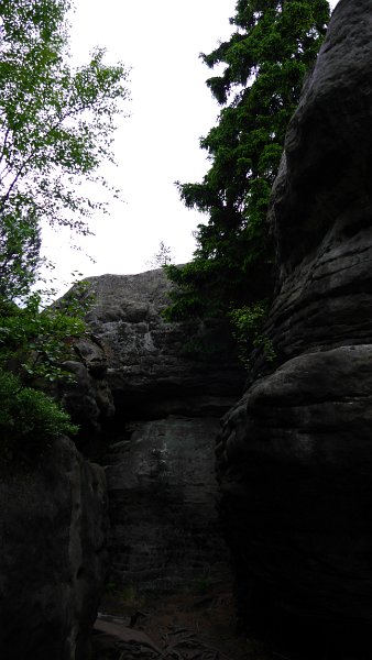 P1020070.JPG
