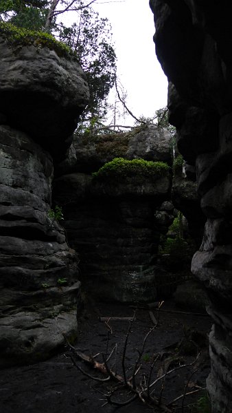 P1020071.JPG