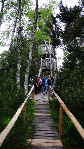P1020118.JPG
