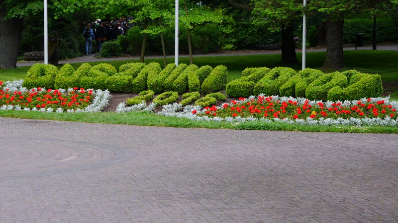 P1020189.JPG